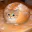 Photo de profil de GlueSniffer88