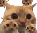 :chat_limite_x5: