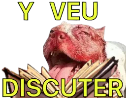 :shitbulldiscuter: