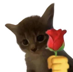 :fleurchat: