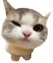 :Vegeta_UltraEgo:
