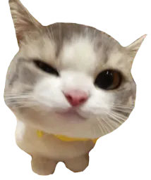 :Vegeta_UltraEgo: