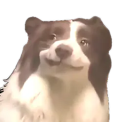 :smirkdog: