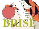 :brise_grr: