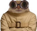 :Chat_camisole_dubosc_tare: