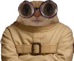 :Chat_camisole_dubosc_tare: