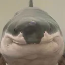 NatuPafini