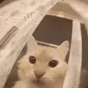 :jtemords: