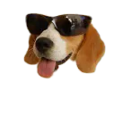 :vraihonnete: