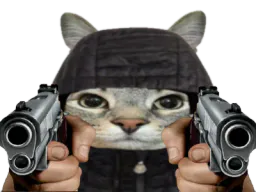 :CS_Flingues: