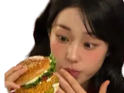 :Rohyoonseo_burger_focus: