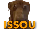 :teddiissou: