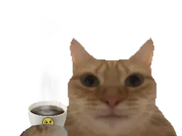 :cafe_chat: