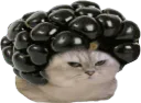 :chatbrushingmure: