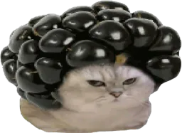 :chatbrushingmure:
