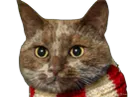 :Chat-Triss78:
