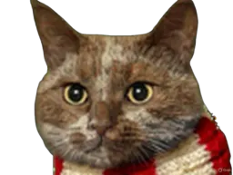 :Chat-Triss78: