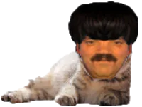 :risichat_: