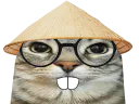 :CS_Chinois: