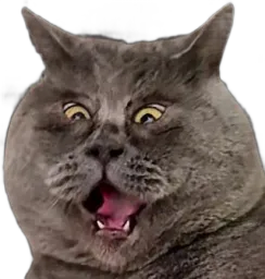 :Chat_chokbar_: