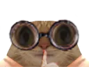 :chat_chut: