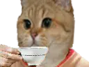 :sodium_cafe: