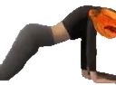 :gym_zinzolin: