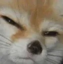 :meeehh: