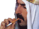 :Zappa: