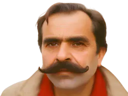:Rasitis: