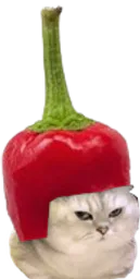 :Chatbrushingpiment:
