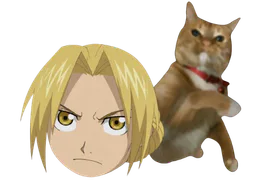 :Chat_claque_Edward: