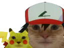 :pokemon_chat: