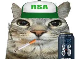 :CS_RSA: