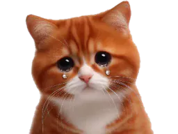 :Chat_triste:
