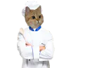 :sodium_chef: