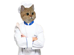 :sodium_chef: