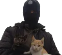 :gatito: