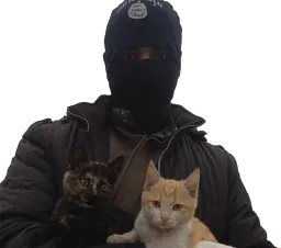 :gatito: