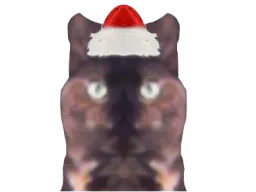 :catsym:
