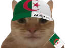 :ChatDZ: