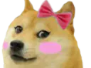 :chien_meuf: