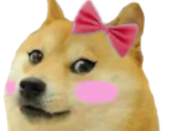 :chien_meuf: