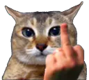 :Chahonor:
