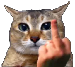 :Chahonor: