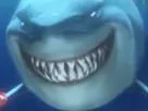:requin_gang_nemo: