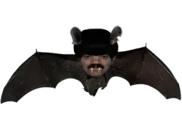 :chauve_souris: