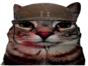 :CS_Soldat: