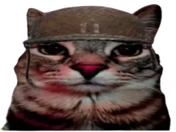 :CS_Soldat: