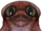 :MurChat: